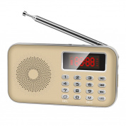 Y-619 FM / AM Mini Radio MP3 Перезаряжаемый музыкальный проигрыватель поддержки TF / SD карты со светодиодным дисплеем (золото)