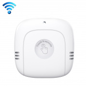 PT216W Внутренний и наружный датчик без граффити на экране WIFI Модель Бытовая температура и измеритель влажности