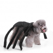 Одежда для питомцев Рождественский Halloween Scared Black Widow Spider Harness Собака Костюм