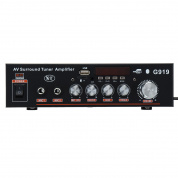 DC12V AC 220V 4-16 Mini Bluetooth Дистанционное Управление High Power Авто Усилитель Динамик