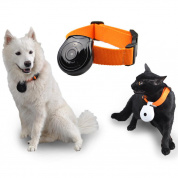 480P Черный Собака Кот Puppy Pet Mini камера На открытом воздухе Спортивный видеомагнитофон Видеокамера